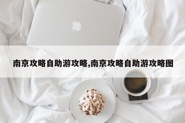 南京攻略自助游攻略,南京攻略自助游攻略图 第1张