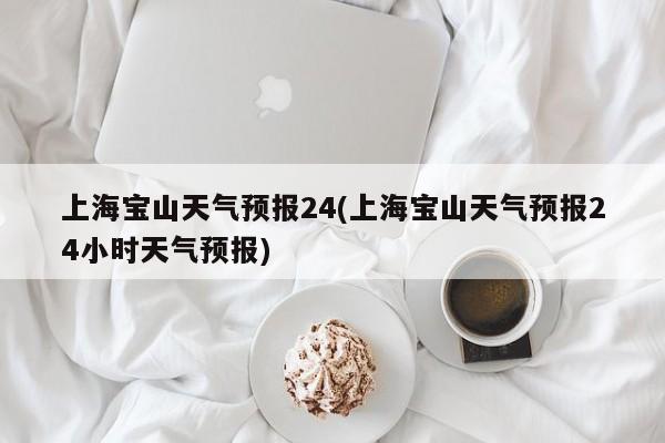 上海宝山天气预报24(上海宝山天气预报24小时天气预报)
