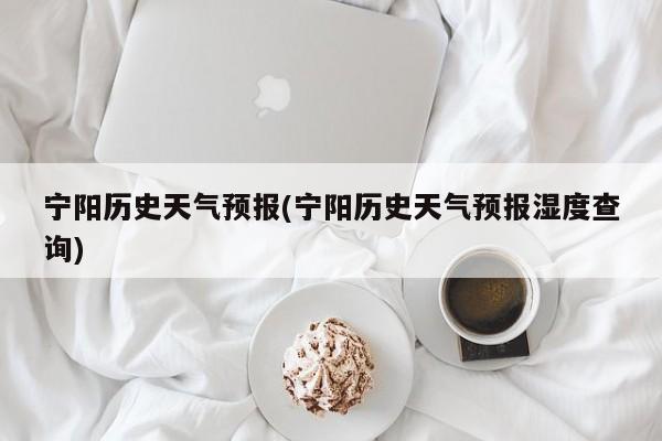 宁阳历史天气预报(宁阳历史天气预报湿度查询)