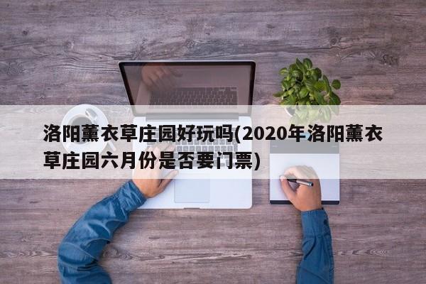 洛阳薰衣草庄园好玩吗(2020年洛阳薰衣草庄园六月份是否要门票) 第1张