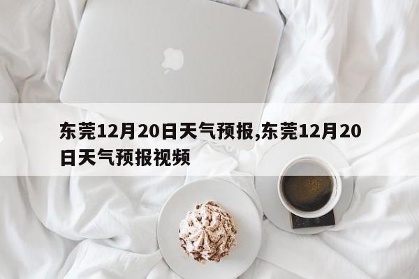 东莞12月20日天气预报,东莞12月20日天气预报视频 第1张