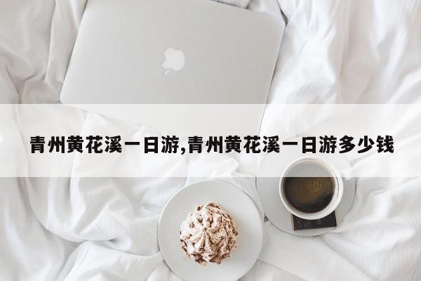 青州黄花溪一日游,青州黄花溪一日游多少钱 第1张