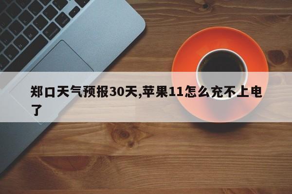 郑口天气预报30天,苹果11怎么充不上电了
