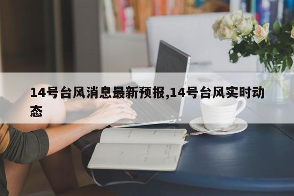 14号台风消息最新预报,14号台风实时动态