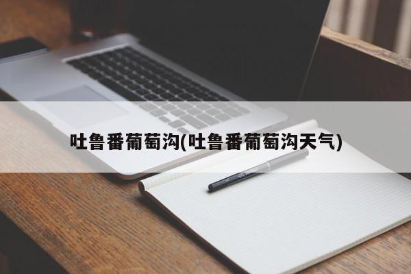 吐鲁番葡萄沟(吐鲁番葡萄沟天气)