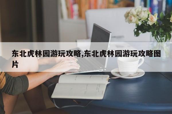 东北虎林园游玩攻略,东北虎林园游玩攻略图片