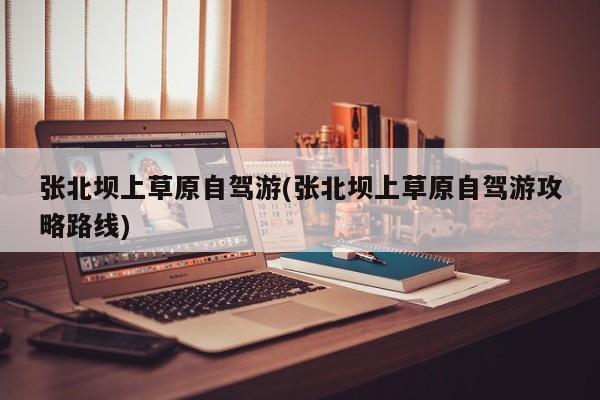 张北坝上草原自驾游(张北坝上草原自驾游攻略路线)