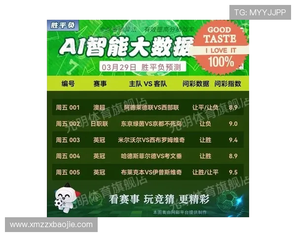 足球赛事中的科技应用与数据分析