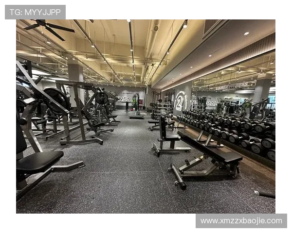 顶级室内健身器材推荐，助你打造完美家庭健身房