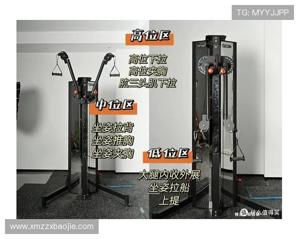 高性价比之选：国产健身器材品牌市场竞争力解析