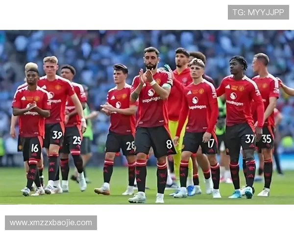 本赛季英超升班马球队战绩与保级前景预测