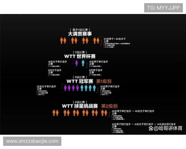 WTT世界杯在哪些软件可以观看并获取最新赛事信息详解