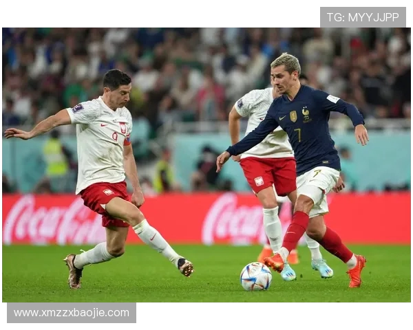 第21届世界杯冠军法国队荣耀征程与辉煌传奇全景回顾与未来展望